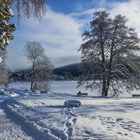 Waldblick * Titisee-Neustadt