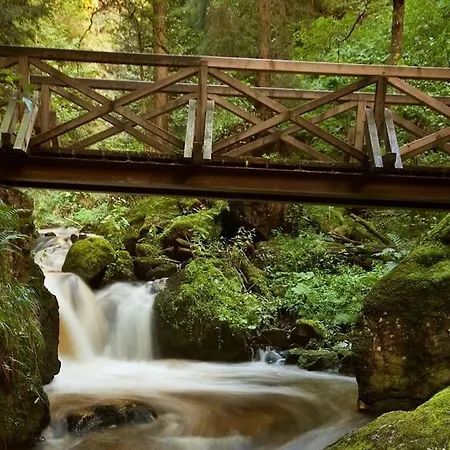 Apartamento Waldblick Titisee-Neustadt