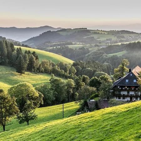 Waldblick Apartamento Titisee-Neustadt