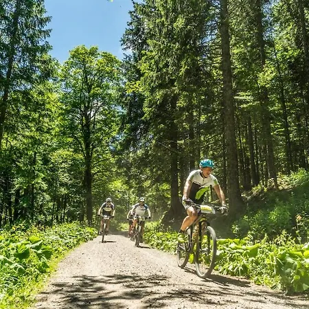 Waldblick * Titisee-Neustadt