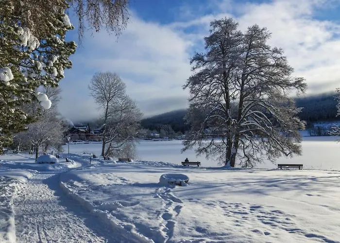 Waldblick * Titisee-Neustadt